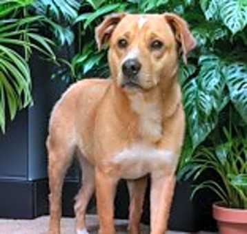 Photo of Harley