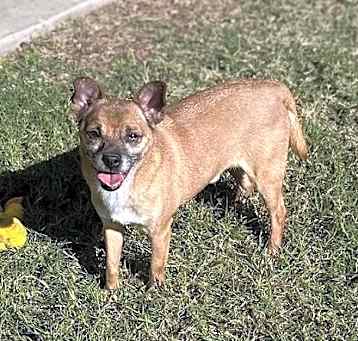 Photo of Pippen