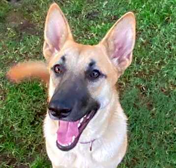 Photo of Leia
