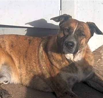 Photo of Waylon
