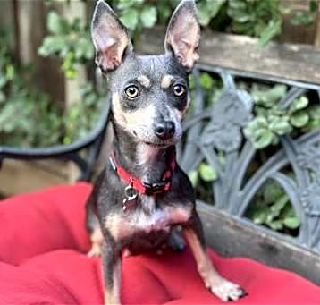 Photo of Ginny