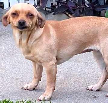 Photo of Winnie