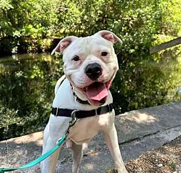 Photo of Titus