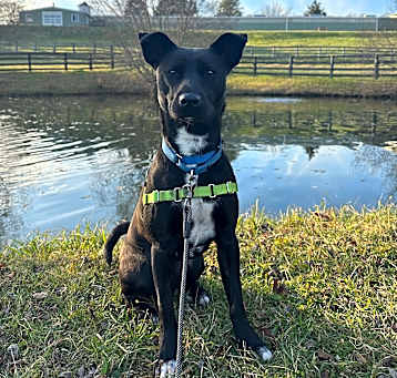 Photo of Roxy