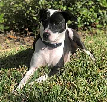 Photo of Khloe