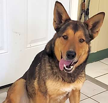 Photo of RUBY