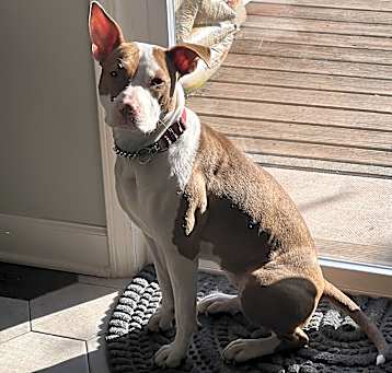 Photo of Dorothea