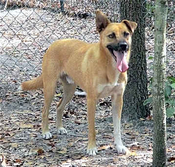 Photo of Turk