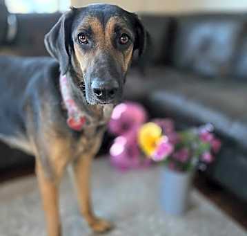 Photo of Nelly