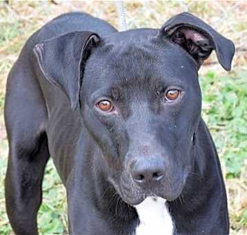 Photo of Jet