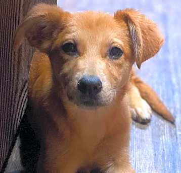 Photo of Luna