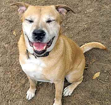 Photo of Zeus
