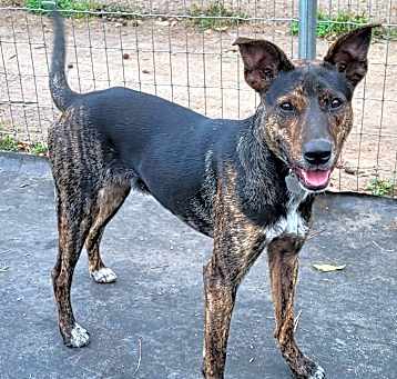 Photo of Zara