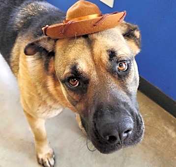 Photo of Reeses