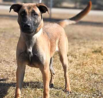 Photo of Savannah