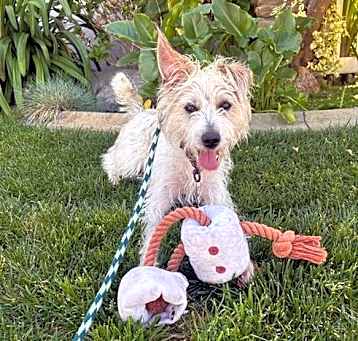 Photo of Happy