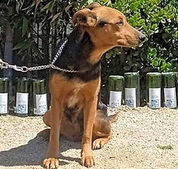 Photo of Maggie