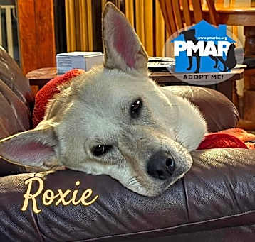 Photo of Roxie