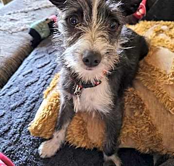 Photo of Simon
