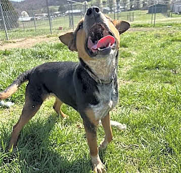 Photo of Susie