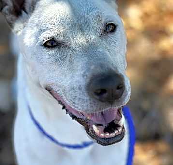 Photo of Ghost