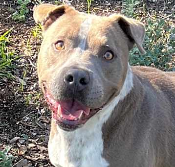Photo of ACE