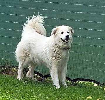 Photo of Bonnie