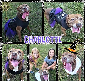 Photo of Charlotte