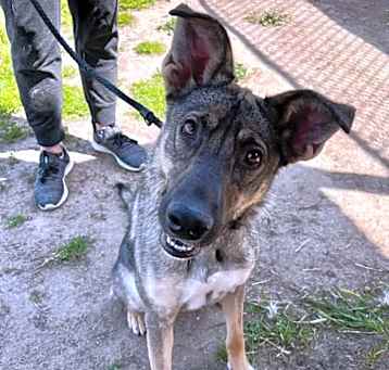 Photo of NIKITA is NICE!!