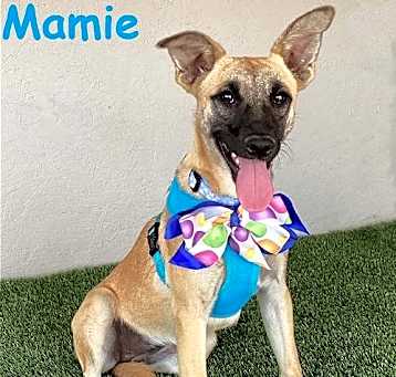 Photo of Mamie