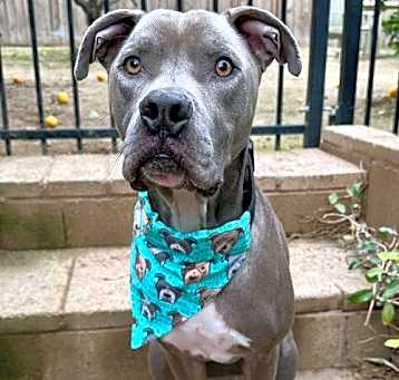 Photo of Duke