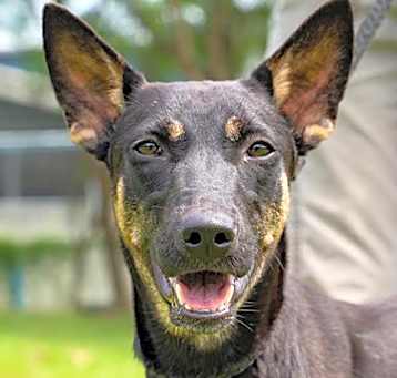 Photo of Isaboo