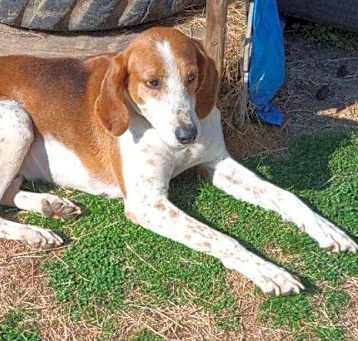 Photo of Bently