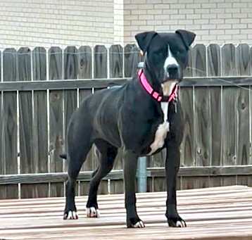 Photo of Amy