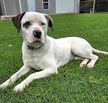 Photo of Gus