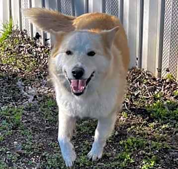 Photo of Luna Judge