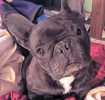 Photo of Hazel