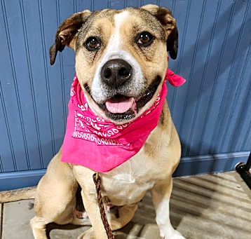 Photo of Jazzy Jasmine