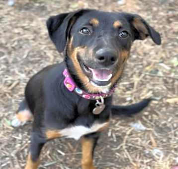Photo of Tilly