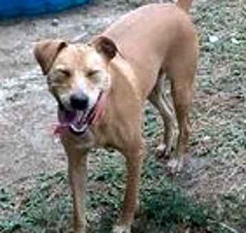Photo of Annie