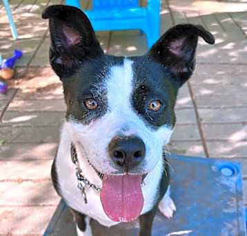 Photo of Hazel