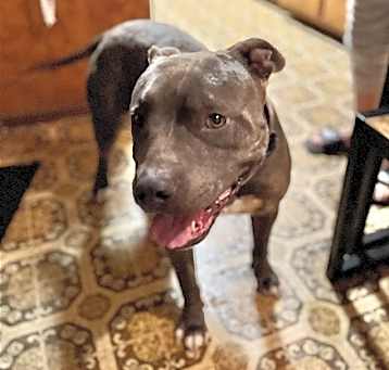 Photo of Lucky