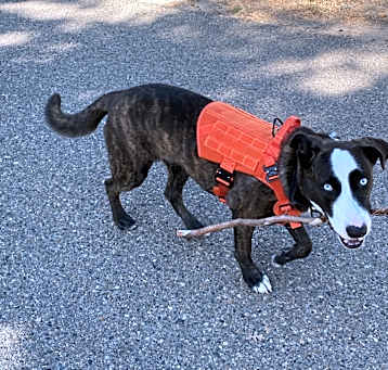 Photo of Bronx