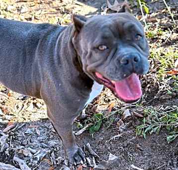 Photo of Storm
