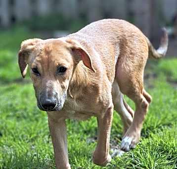 Photo of Arya