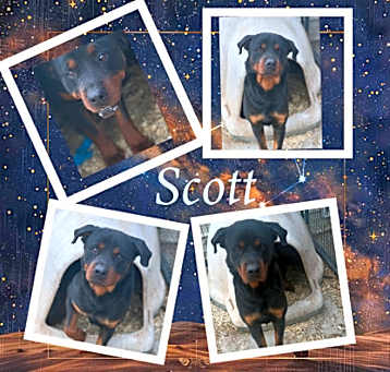 Photo of Scott