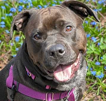 Photo of Lola