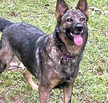 Photo of Kela