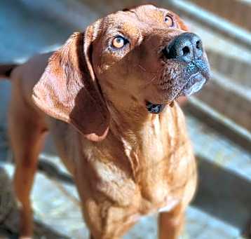 Photo of Dapper Dan