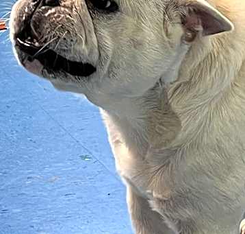 Photo of Wally